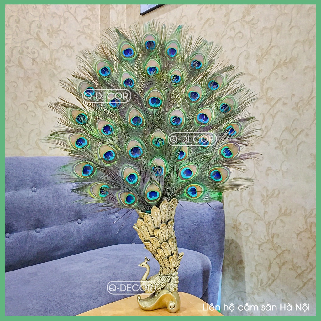 Bình cắm lông công Q Decor BC01 và 36 lông công mắt to 4-6cm