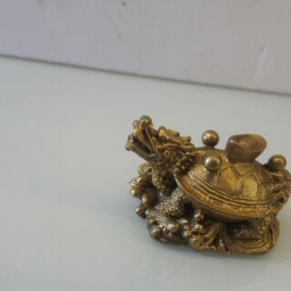 rùa đầu rồng dài 5cm