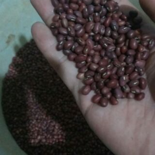 Đậu đỏ 1kg