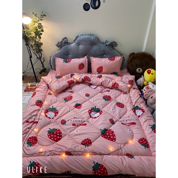 Trọn bộ 5 món Poly set hè và set phao- mẫu dâu Nhật