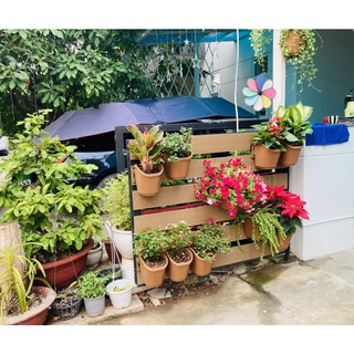 Chậu Ốp Tường Lắp Ghép Thông Minh Treo Ban Công Treo Tường GoGarden