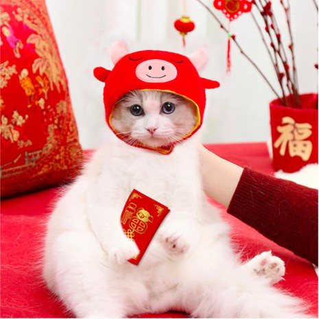 MŨ NÓN THÚ CƯNG DỄ THƯƠNG - CHỌN MẪU