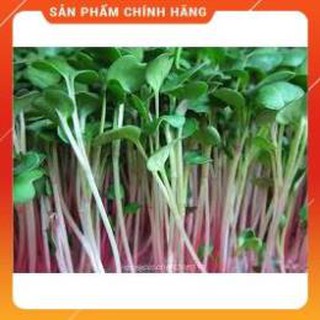 HẠT GIỐNG RAU MẦM CỦ CẢI ĐỎ GÓI 50GR