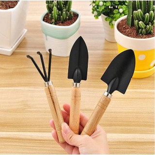 Bộ 3 Dụng Cụ Làm Vườn Cán Gỗ