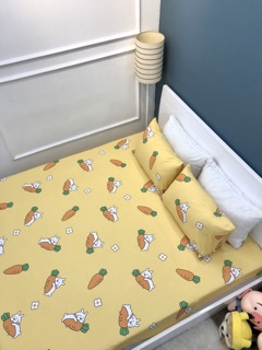 Set ga gối cotton lụa -ảnh chụp thật