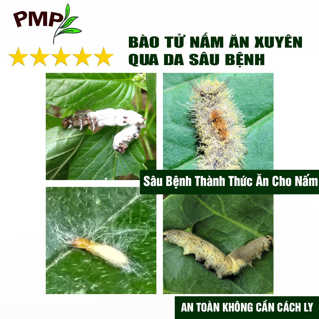 Combo Chế Phẩm Vi Sinh Biomic &amp; Dầu Green Neem Oil Hữu Cơ PMP Cho Hoa Hồng, Rau Sạch, Cây Cảnh