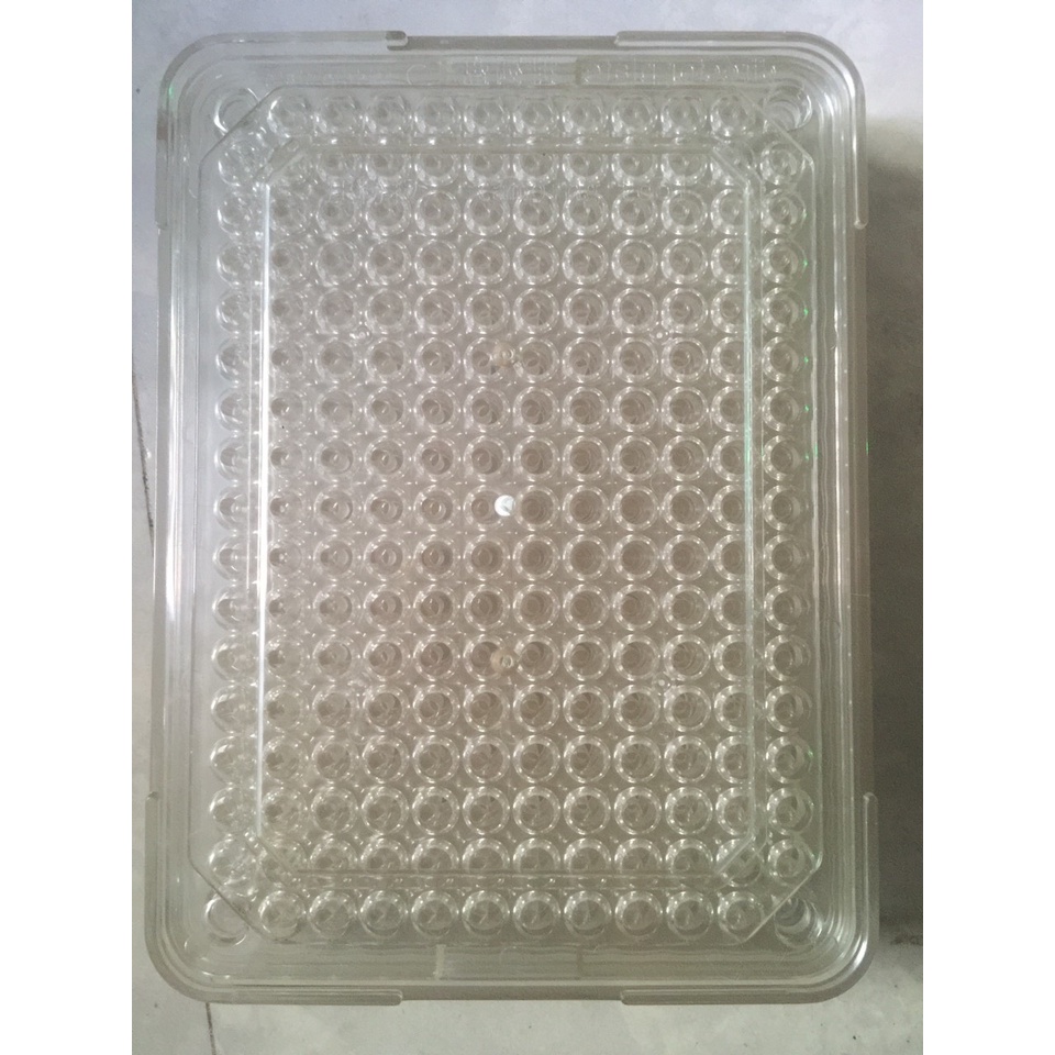 Khuôn đóng viên nang thủ công, Khay đóng viên nang 200 viên size 0