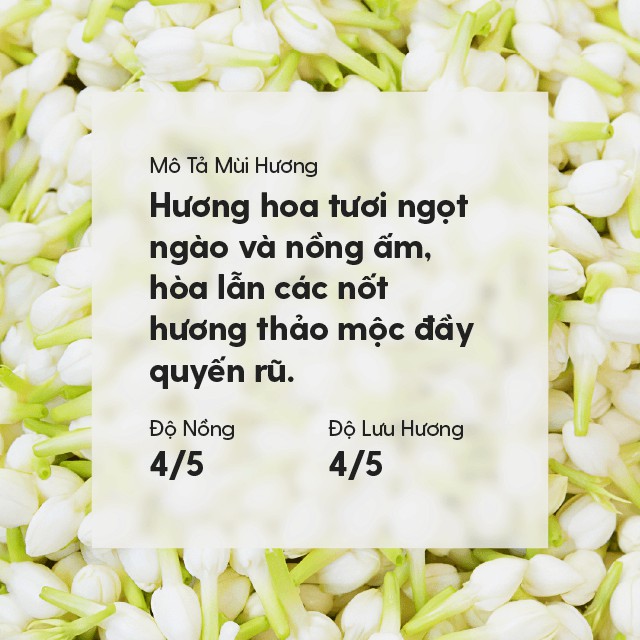 Tinh Dầu Treo Phòng Họa Tiết Bình Gốm Nhóm Trái Cây &amp; Thảo Mộc (Có Video) - Tặng Tinh Dầu Mẫu Thử Heny Garden