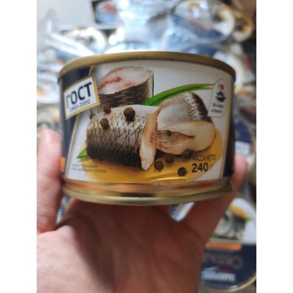 Cá Trích khúc ngâm dầu hộp 240g của Nga | BigBuy360 - bigbuy360.vn