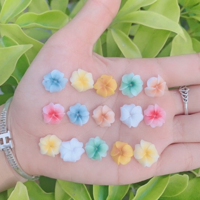 Hoa bột nails- đậu