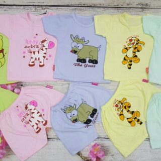 Bộ carter set 5 bộ chi yến