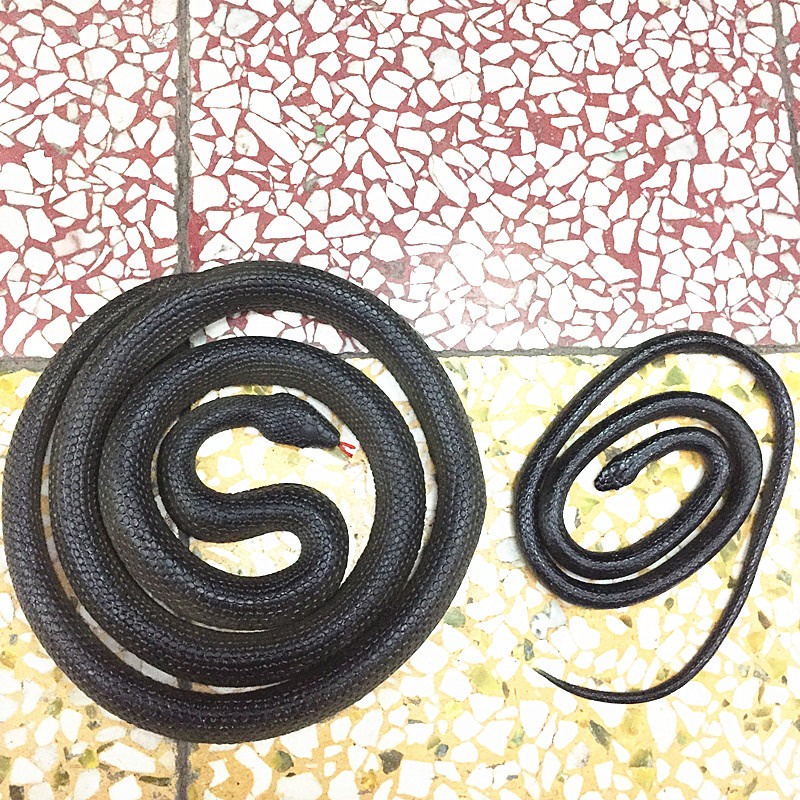 Con Rắn Giả Cao Su Như Thật Dài 120cm, 85cm, 40cm troll chơi khăm bạn bè