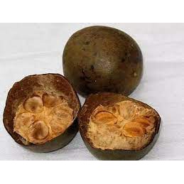 Sâm mía lau thảo mộc tươi hữu cơ 1kg