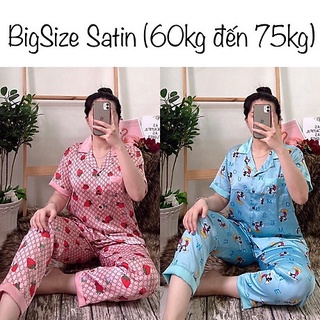 BỘ NGỦ PIJAMA TAY NGẮN QUẦN DÀI BIGSIZE 75KG SP0007