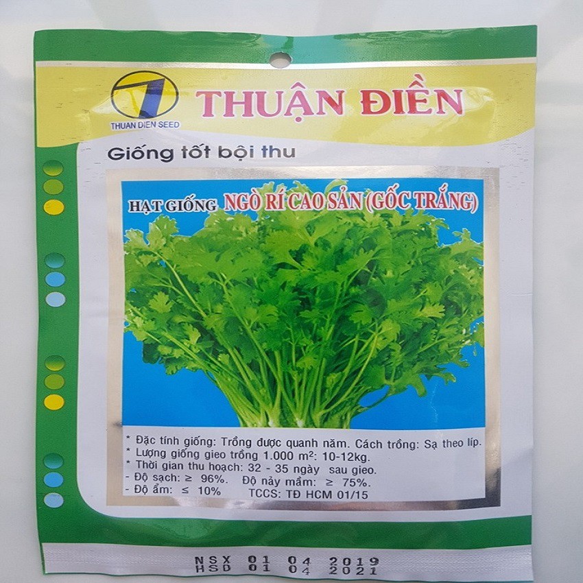 Ngò Rí Cao Sản  Thuận điền