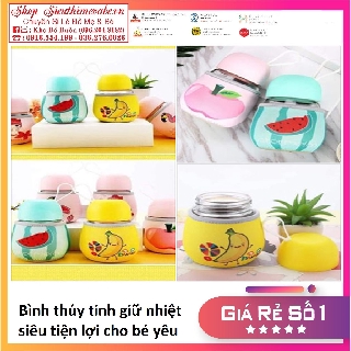BÌNH THỦY TINH GIỮ NHIỆT mini