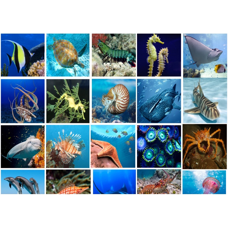 Đồ chơi cho bé - Đèn chiếu phim | BigBuy360 - bigbuy360.vn