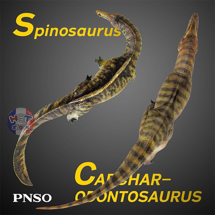 Mô hình Khủng Long Carcharodontosaurus PNSO 50 2021 tỉ lệ 1/35 chính hãng