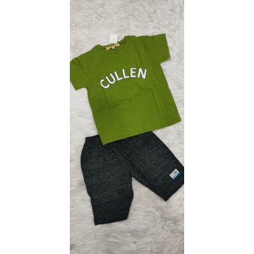 Bộ tay ngắn quần đùi thun cotton 100% (size đại)