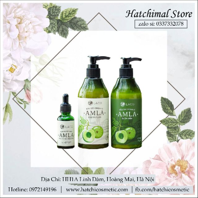 Bộ 3 Sản Phẩm Dầu Gội - Xả - Serum Ngăn Ngừa Rụng Tóc Amla | BigBuy360 - bigbuy360.vn