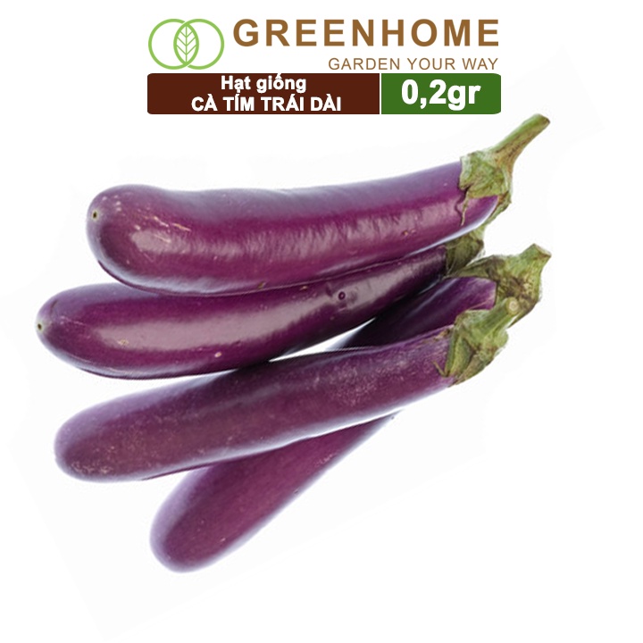 Hạt giống Cà tím trái dài ,gói 0,2gr, dễ trồng, năng suất cao T13 |Greenhome