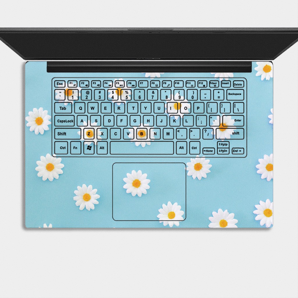 Bộ skin dán laptop mẫu Hoa Daisy / Có mẫu decal dán cho tất cả các hãng máy tính