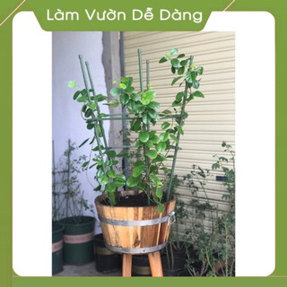 ~  LỤC GIÁC - KHUNG TRỒNG CÂY Dùng để đỡ cây, giữ không cho cây đổ ngã, giúp cây hoa đứng vững không bị nghiêng gãy đổ c