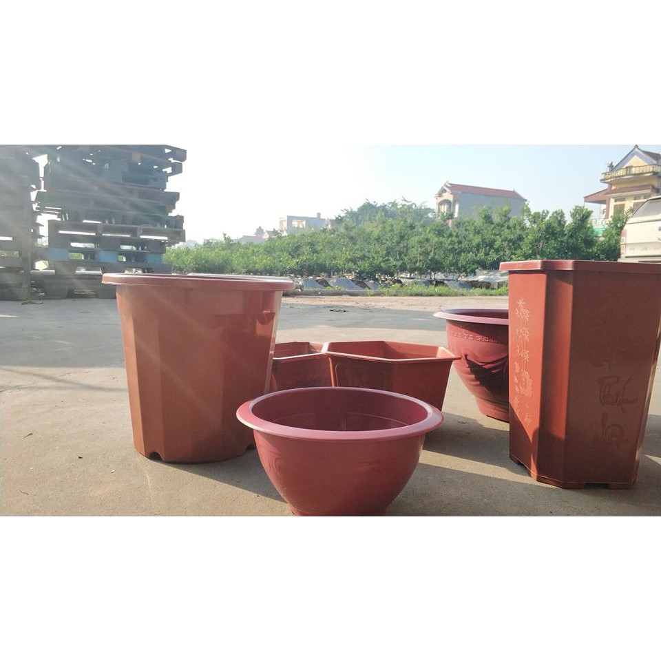 2 Chậu trồng sen chậu trồng cây T48 rộng 35cm chậu siêu đẹp