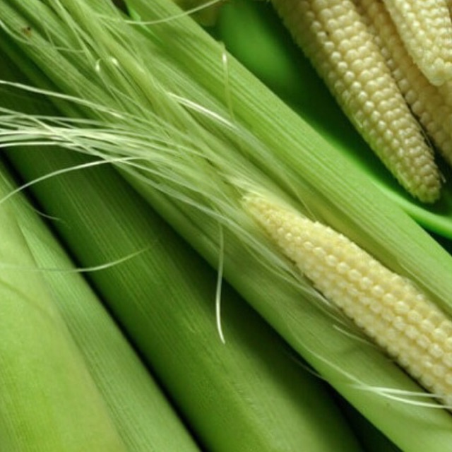 1kg ngô bao tử ngâm rượu