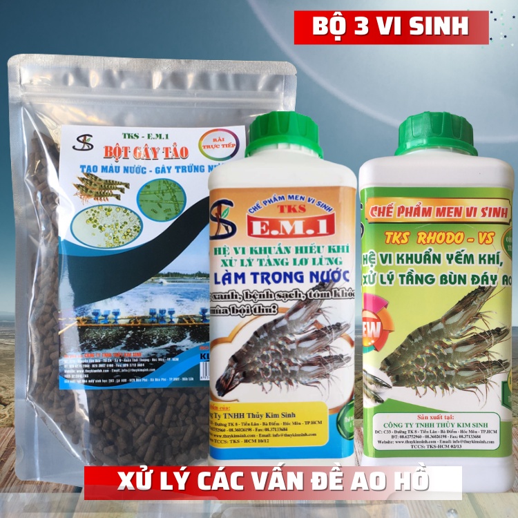 Bộ 3 Vi Sinh: Xử Lý Tần Bùn Đáy Ao, Làm Trong Nước, xử Lý Tạo , Tạo Màu Nước Ao Nuôi Tôm Cá