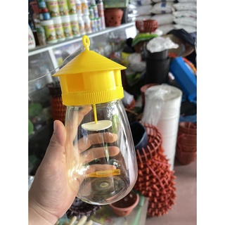 Đèn bẫy ruồi vàng kèm thuốc (1 đèn + 1 ống thuốc)