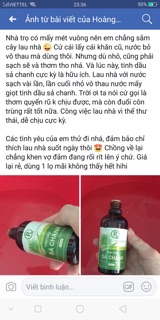 Tinh dầu sả chanh loại đặc biệt 100ml