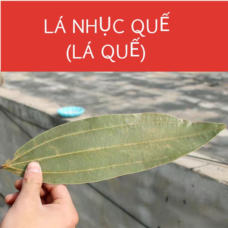 [Mua 1 tặng 1] 50gr- Lá quế/ lá nhục quế/ Cinnamon leaves/ rouguiye