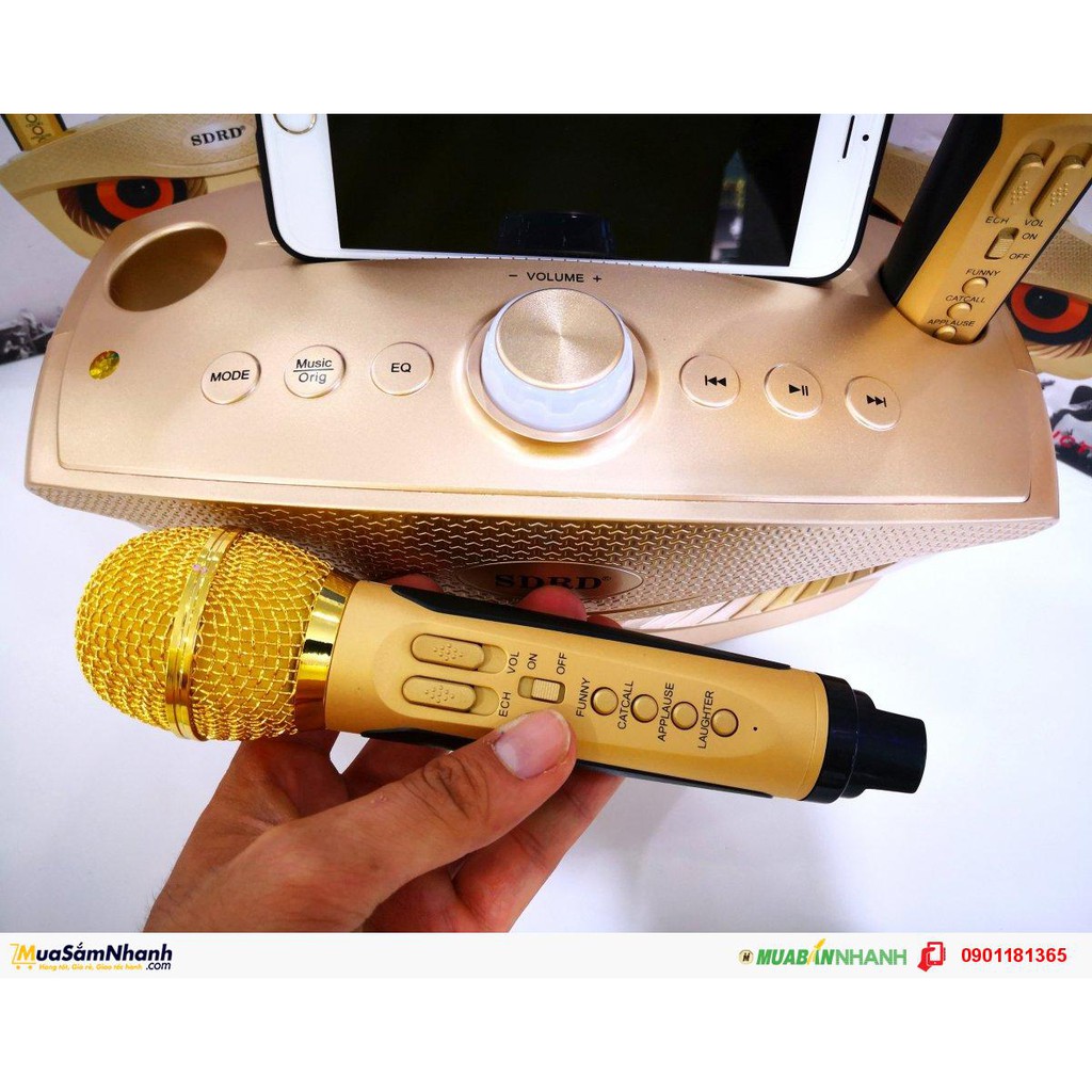 Loa Karaoke không dây cao cấp, Loa kèm 2 mic hát bluetooth công suất 40W Sd 306 plus KLH