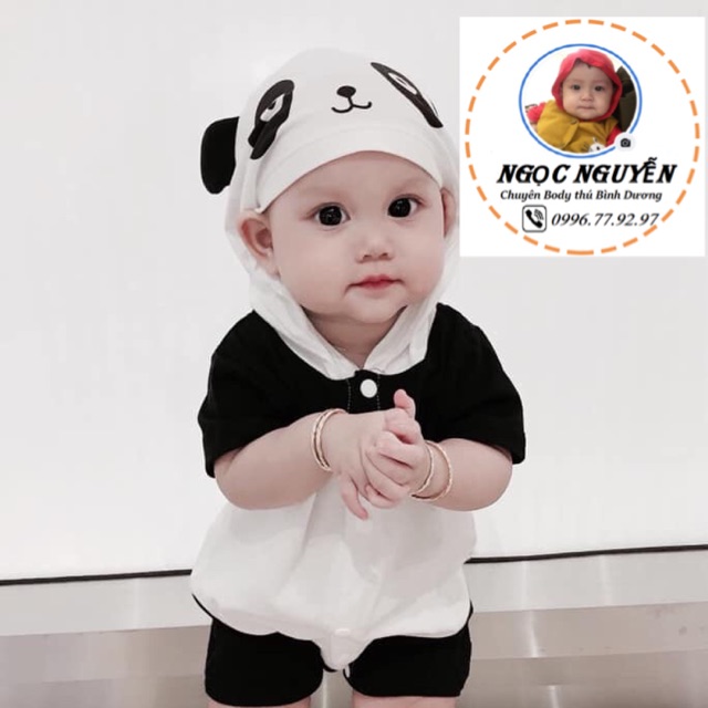 Mẫu gấu Panda