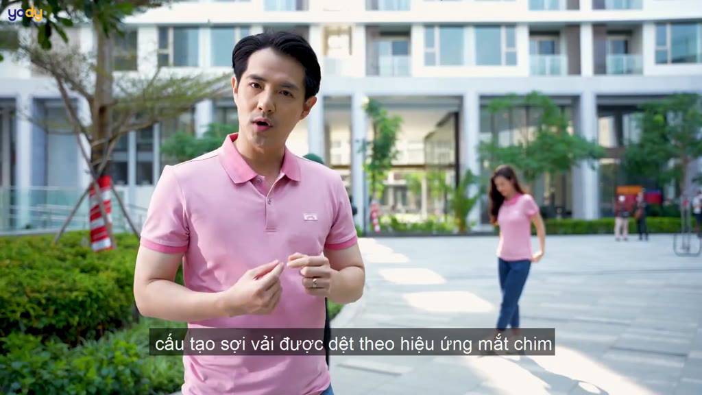 Áo polo nam Yody áo thun cộc tay, cổ bẻ, áo phông vải mắt chim mềm mịn thoáng mát APM3299 MMC1 | BigBuy360 - bigbuy360.vn