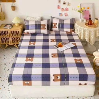 Bộ ga gối cotton