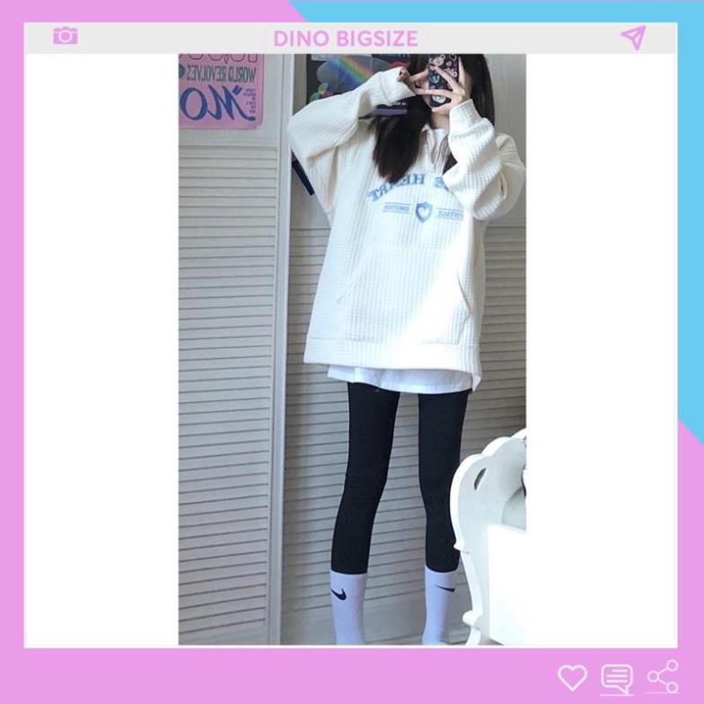 Áo polo nữ bigsize, Áo polo nữ dài tay form rộng M-4XL - DINO | BigBuy360 - bigbuy360.vn