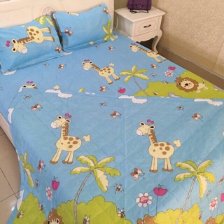 Chăn ga gối cotton poly
