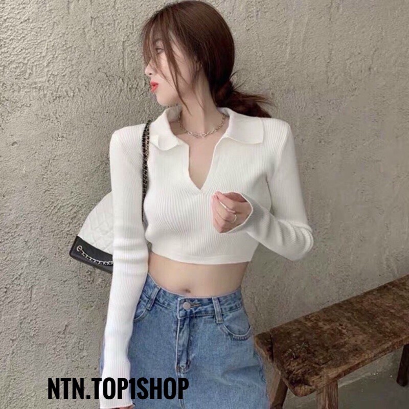 [Mã 11FASHIONSALE1 giảm 10K đơn 50K] ÁO POLO CỔ trụ V dài tay trơn Croptop (al).