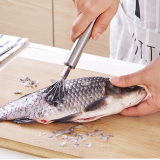 DỤNG CỤ ĐÁNH VẢY CÁ, NẠO DỪA