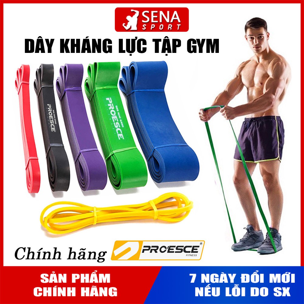 DÂY KHÁNG LỰC TẬP GYM POWERBAND CHÍNH HÃNG PROESCE - HỖ TRỢ TẬP TOÀN THÂN