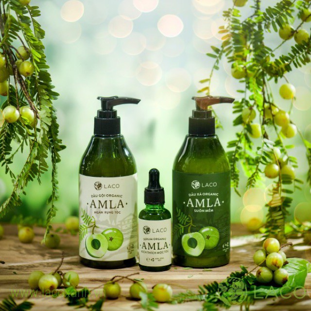 DẦU GỘI ĐẦU ORGANIC_AMLA_NGĂN RỤNG TÓC_300ml