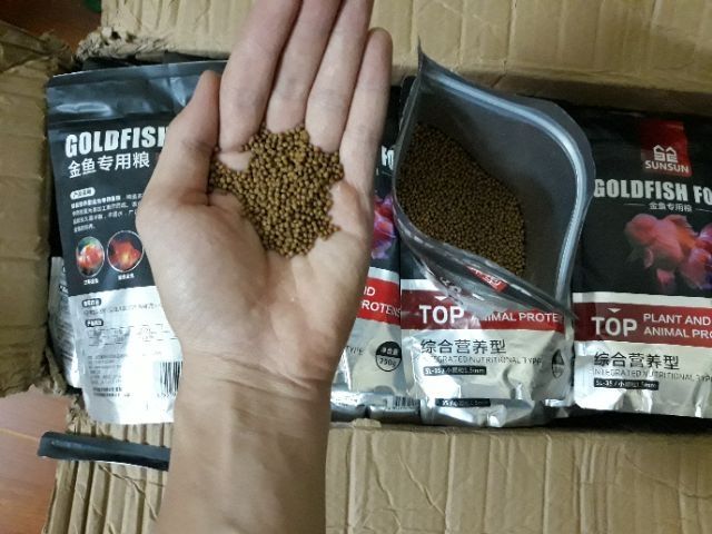 CÁM CÁ VÀNG- CÁM CÁ KOI- CÁM RANCHU