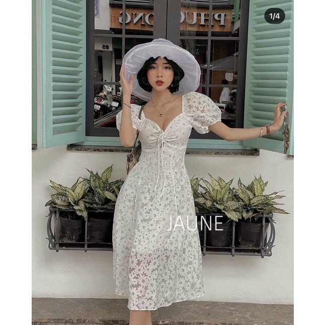 ĐẦM HOA RÚT NGỰC (KÈM VIDEO HÌNH THẬT)