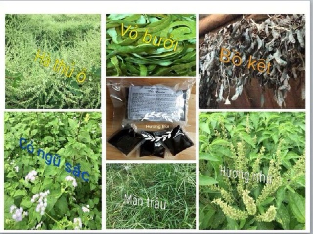 Nước tắm thảo dược MeDaVi