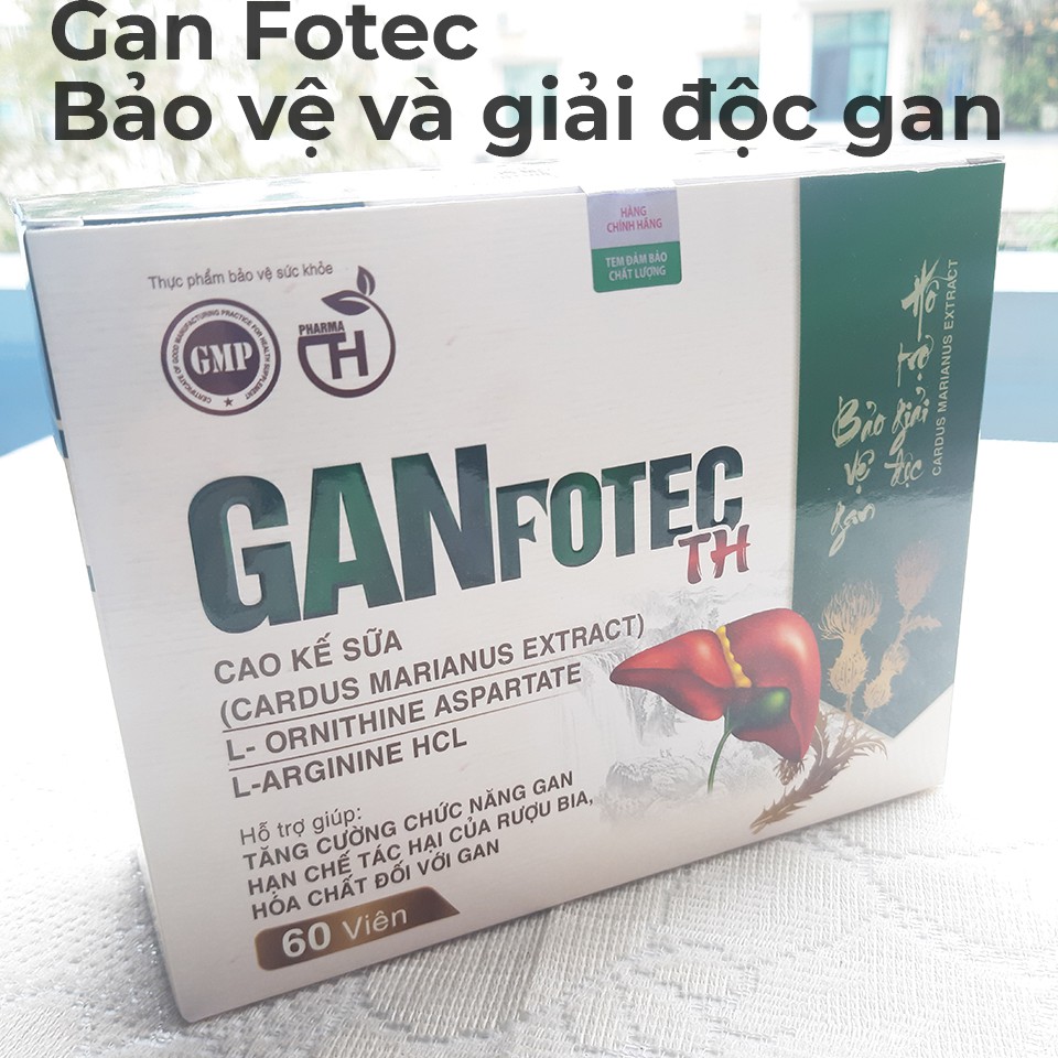 [GIÁ SỈ] GANFOTEC TH - Thanh nhiệt, giải độc gan, tăng cường chức năng gan, phục hồi tổn thương gan do bia rượu và các b