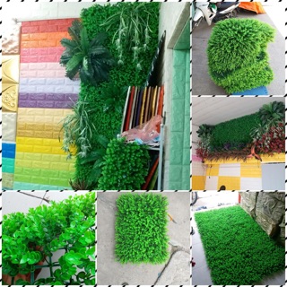 Thảm cỏ tai chuột tô thêm sắc đẹp cho shop, cafe...