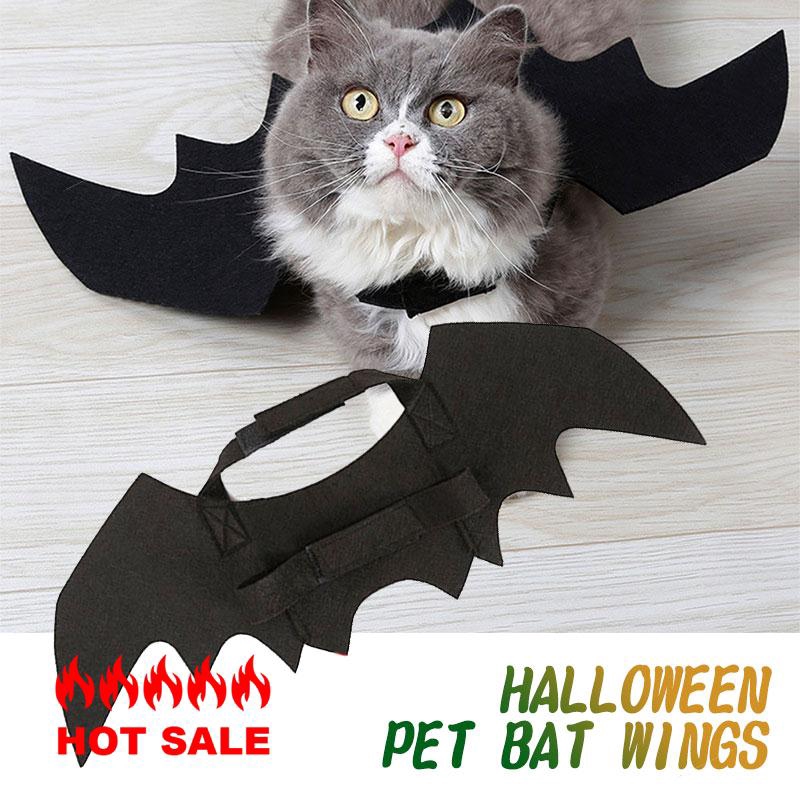 Phụ kiện hóa trang Halloween hình cánh dơi đáng yêu cho thú cưng
