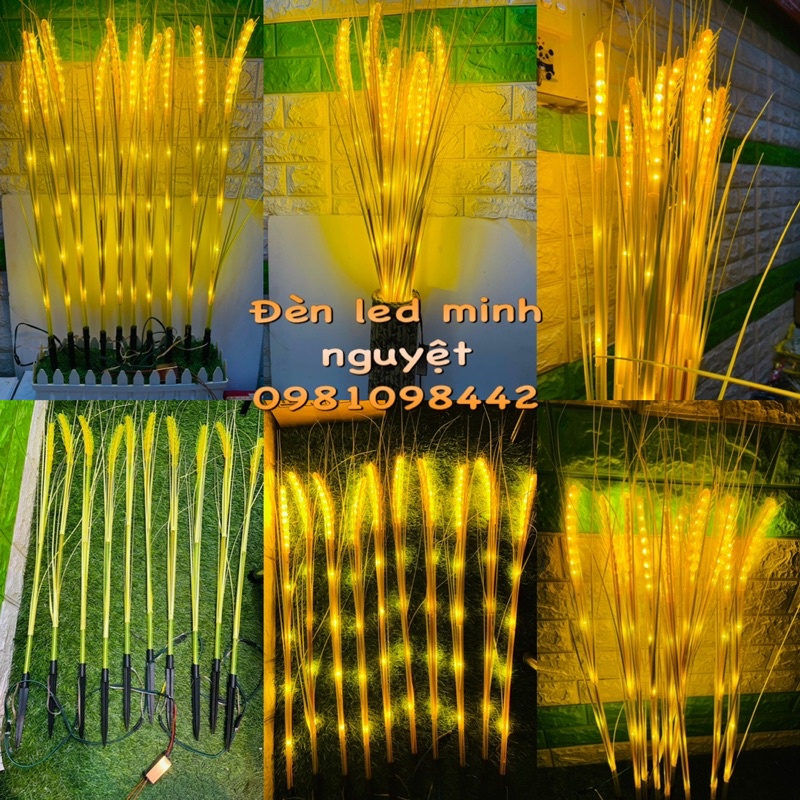 Bộ Đèn Led Bông Lúa Vàng Trang Trí ,